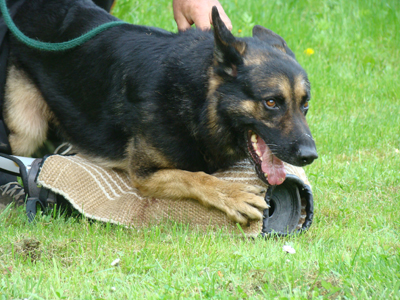 Romko